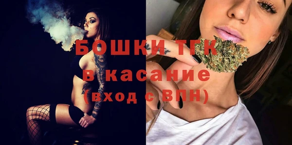 стаф Арсеньев