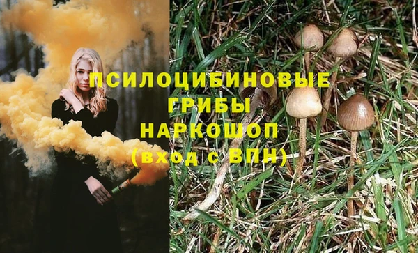 мяу мяу мука Алзамай