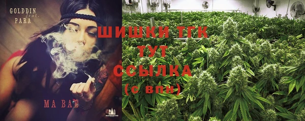 тгк Армянск