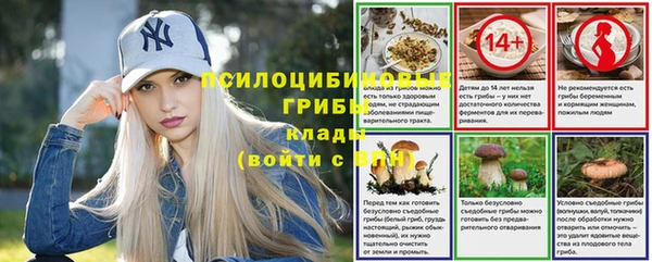 мяу мяу мука Алзамай