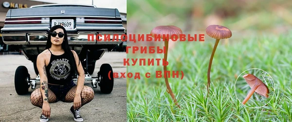 шишки Алексеевка