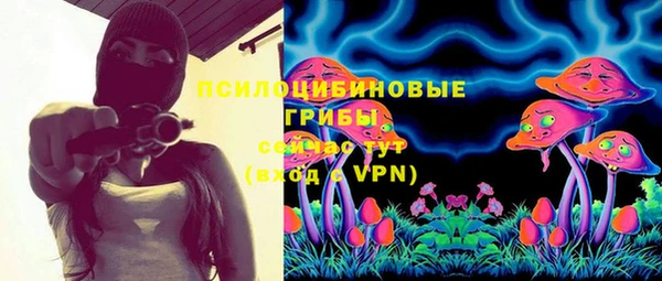 скорость Алексин