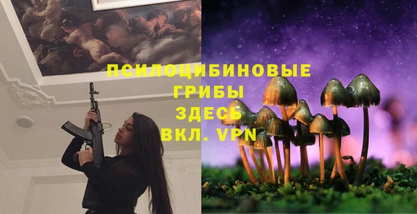 тгк Армянск