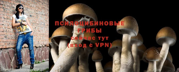 мескалин Аркадак